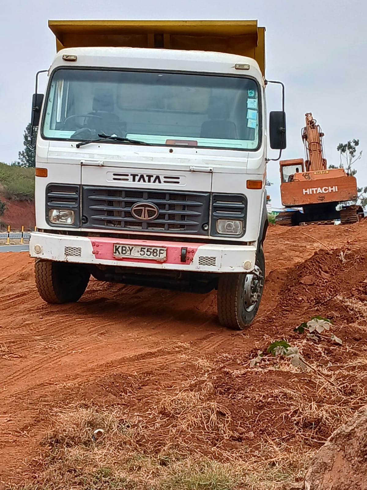 Tipper — image 19