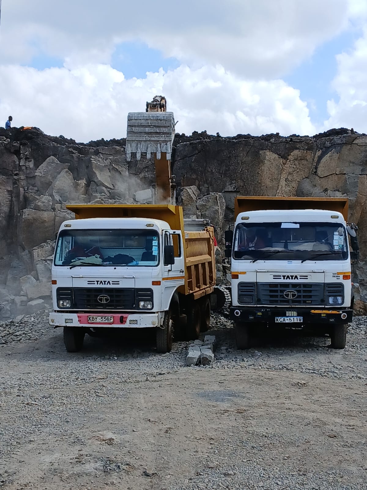 Tipper — image 21