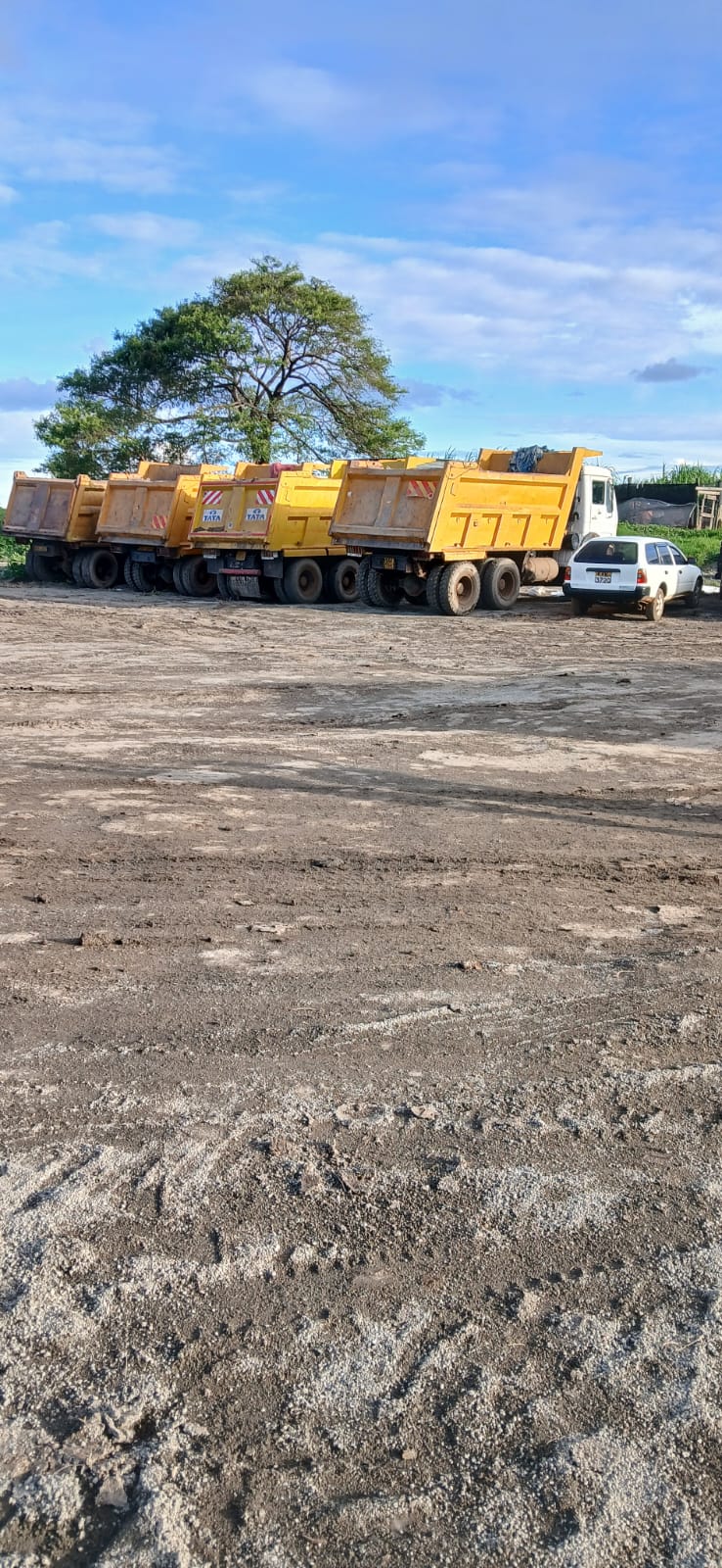 Tipper — image 22